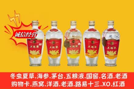白云鄂博矿区回收老五粮液