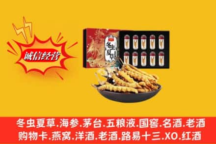 白云鄂博矿区回收冬虫夏草