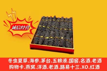 白云鄂博矿区回收海参