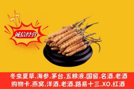 白云鄂博矿区求购回收虫草多少钱每克